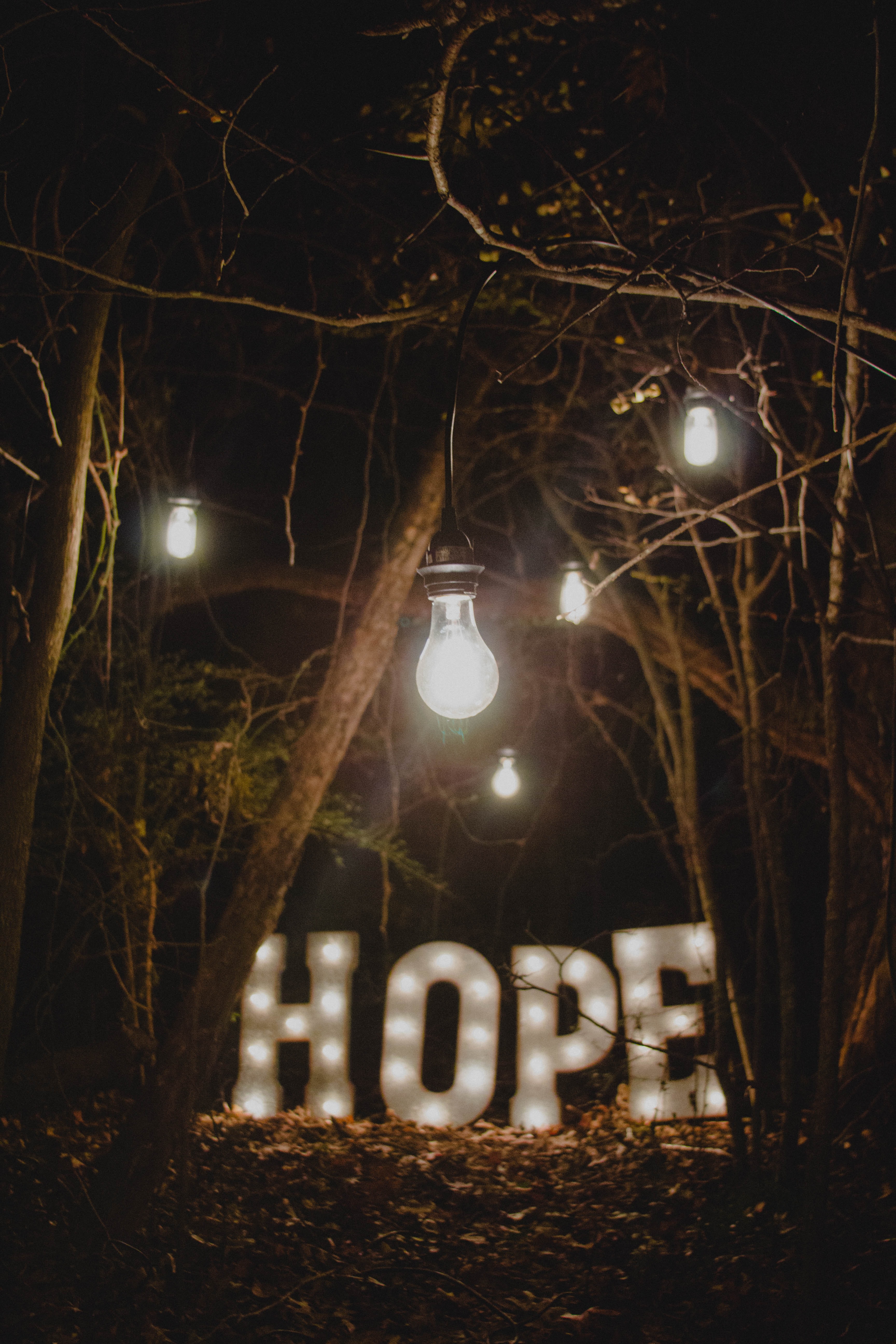 To the upcoming generation who has feelings of hopelessness, here are some pro-tips from an amateur human…